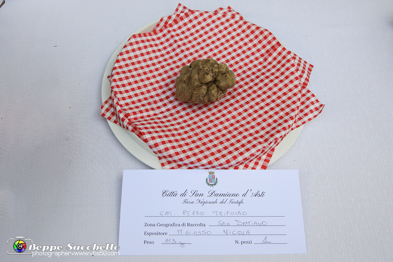 VBS_7157 - Fiera Nazionale del Tartufo e dei Santi 2022.jpg